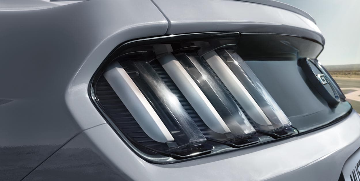 Aleron trasero largo