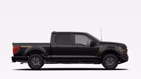 f150 Tremor en Ford Pussetto salta Jujuy