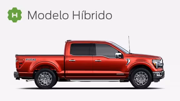 f150 en Ford Pussetto salta Jujuy